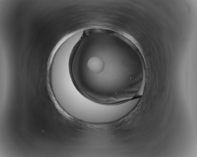 X0000085771152200703301357