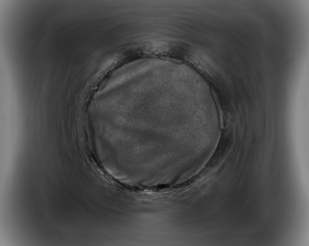 X0000085771153200703301356