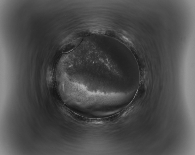 X0000085771154200703301356