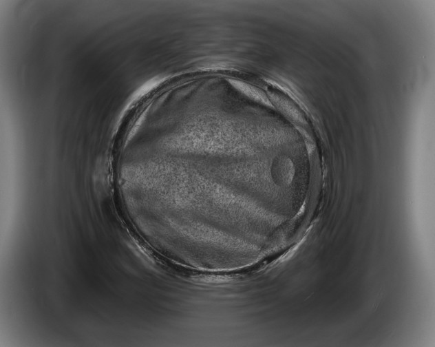 X0000085771164200703301356