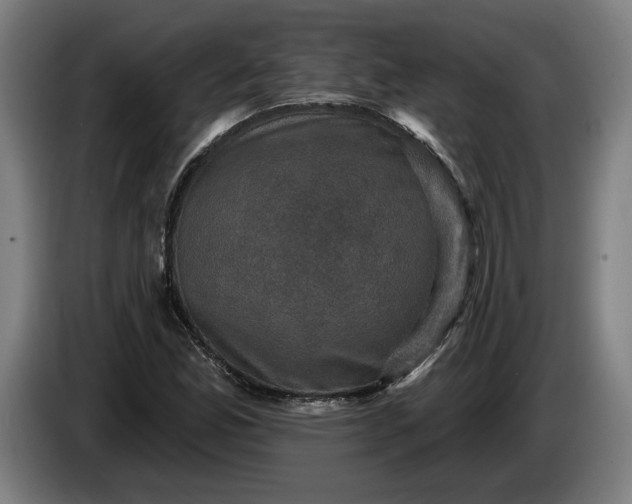 X0000085771165200703301356