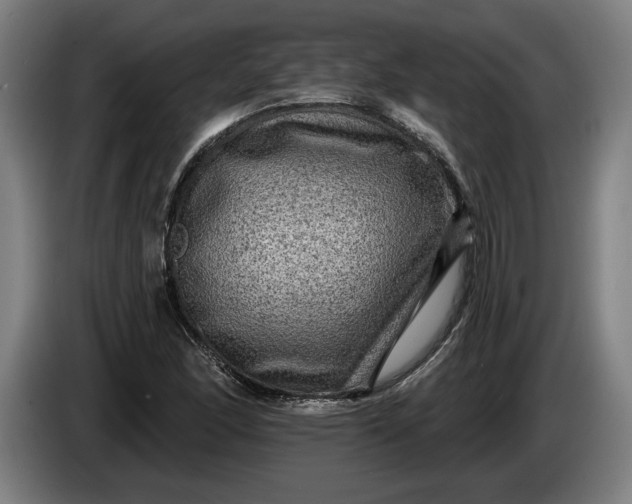 X0000085771166200703301356