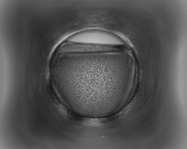 X0000085771167200703301356