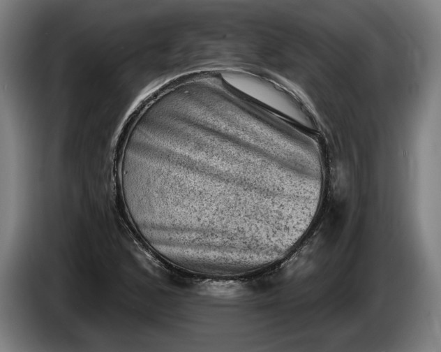 X0000085771168200703301356