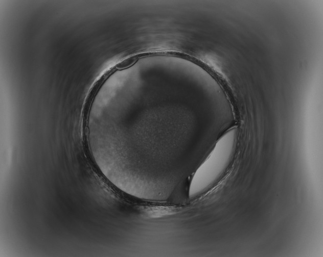 X0000085771173200703301356