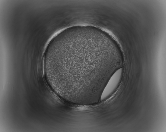 X0000085771175200703301356