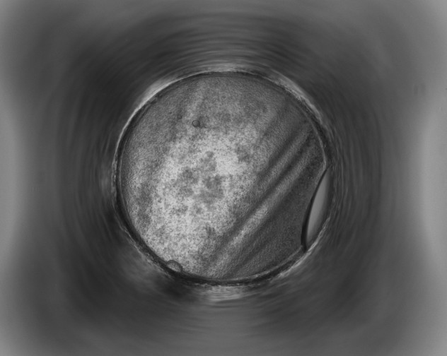 X0000085771178200703301356