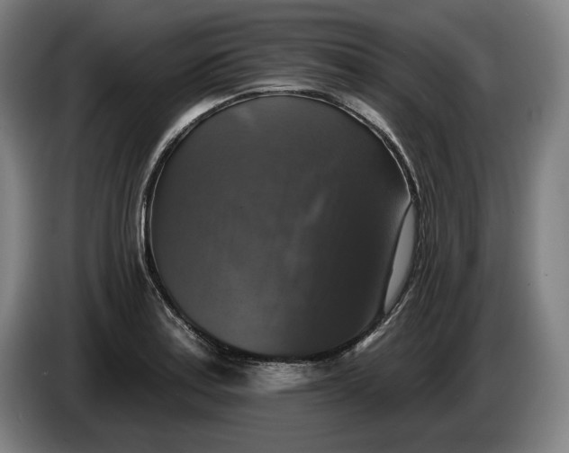 X0000085771179200703301356