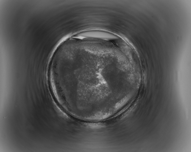 X0000085771189200703301356