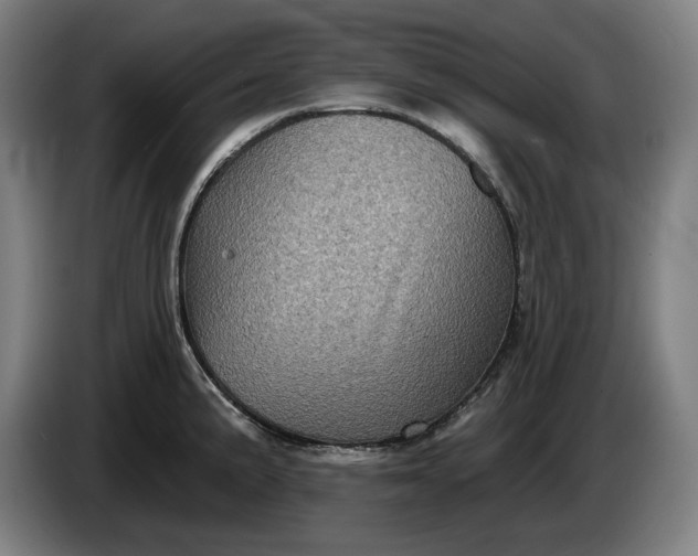 X0000085771191200703301355