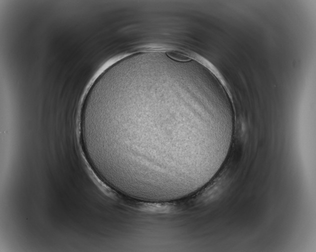 X0000085771195200703301355