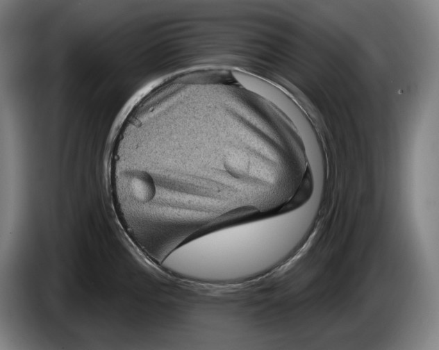 X0000085771196200703301355