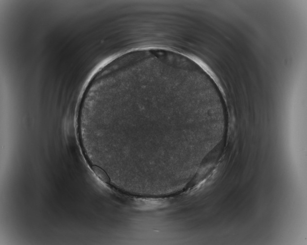 X0000085771197200703301355