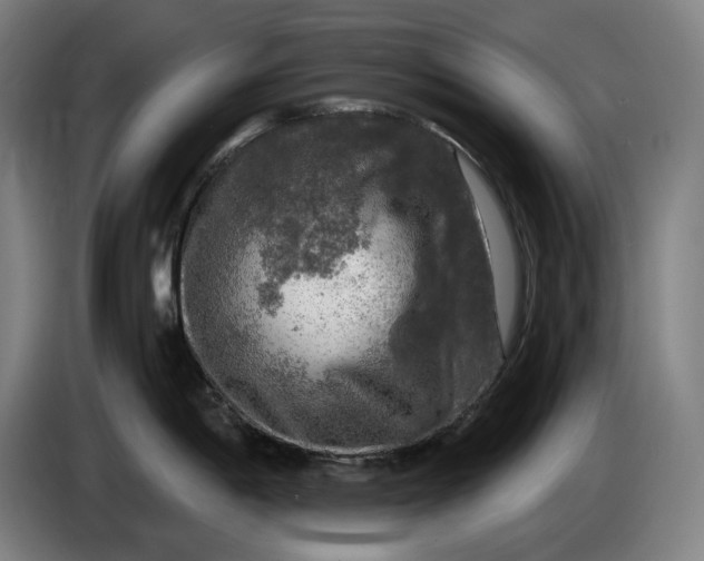 X0000085771198200703301355