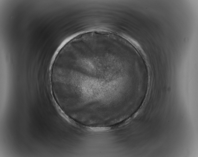 X0000085771200200703301355