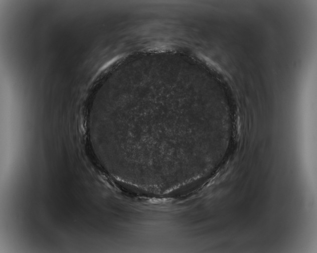 X0000085771206200703301355