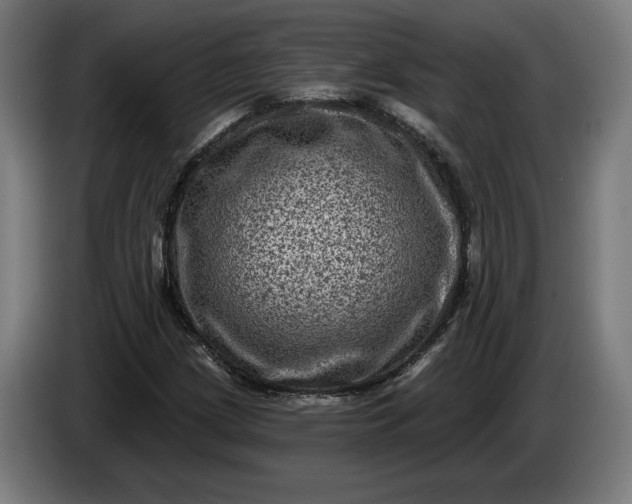 X0000085771209200703301355