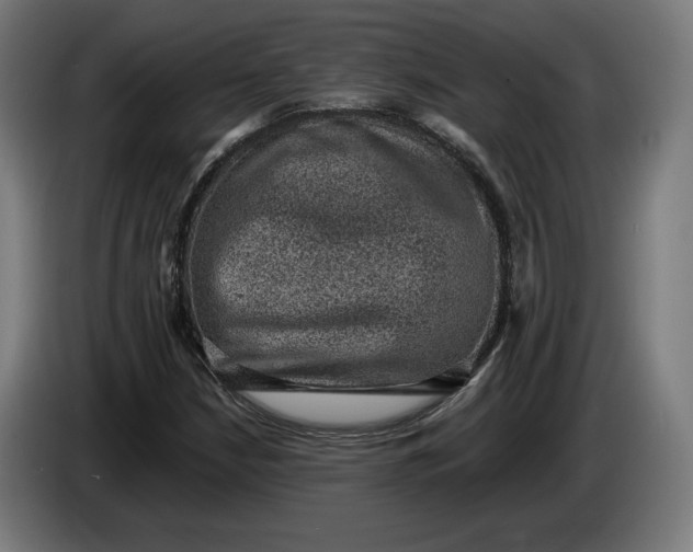 X0000085771210200703301355