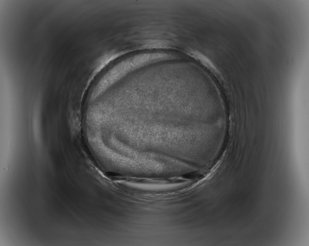 X0000085771212200703301355