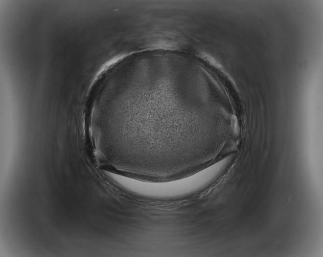 X0000085771214200703301355