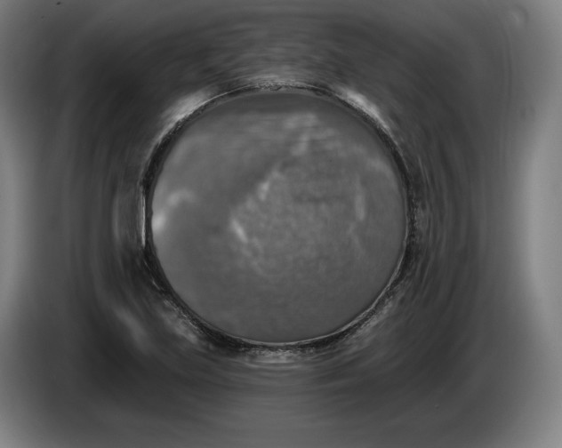 X0000085771219200703301355