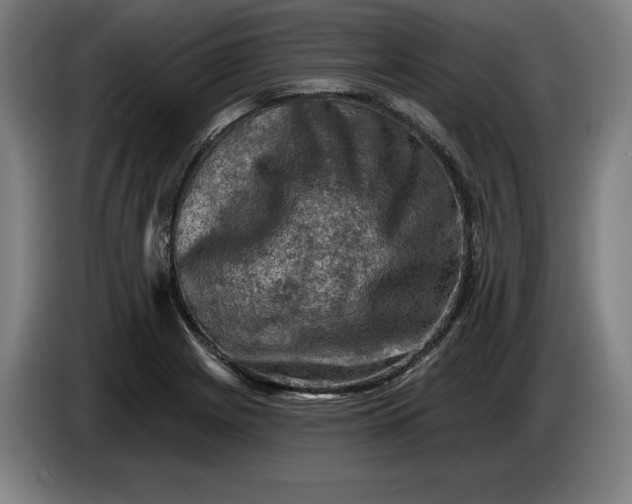 X0000085771225200703301355