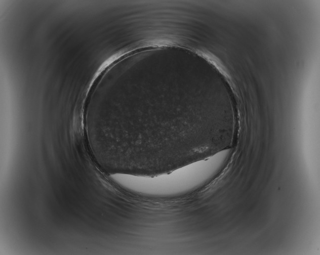 X0000085771226200703301355