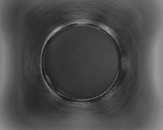 X0000085771229200703301355