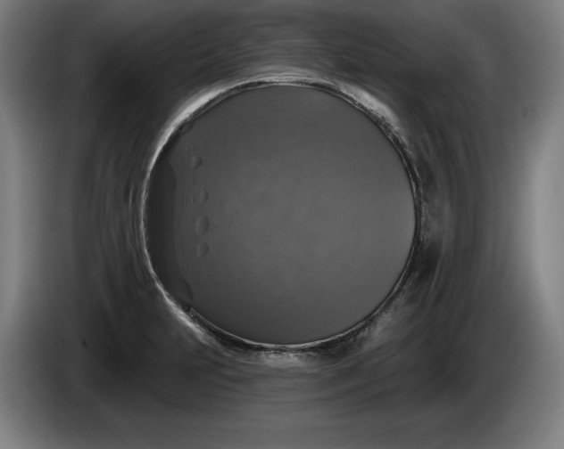 X0000085771231200703301355