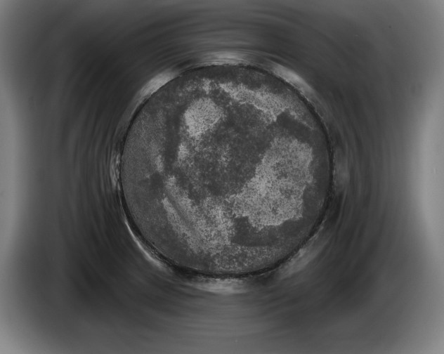 X0000085771233200703301355