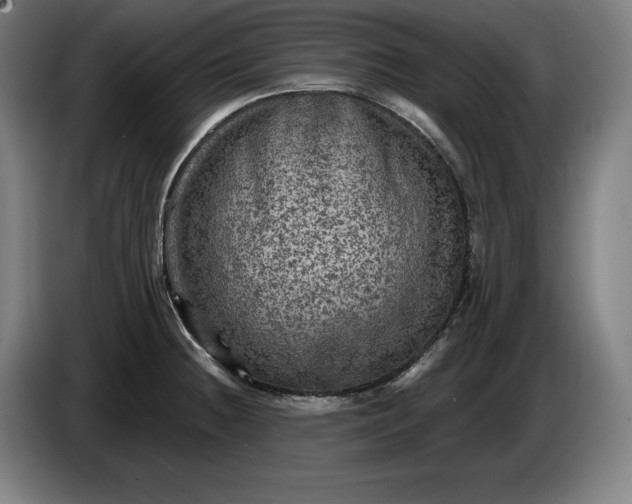 X0000085771236200703301355