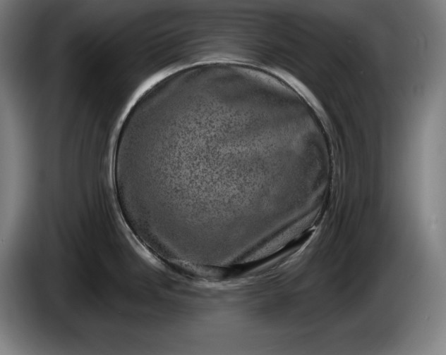 X0000085771246200703301355