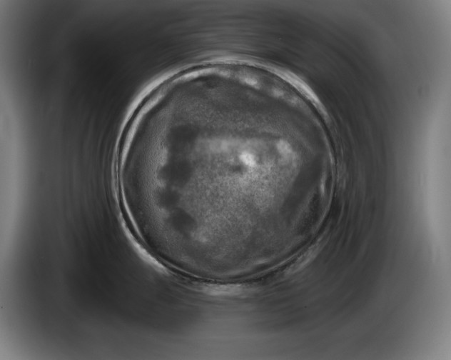 X0000085771247200703301355