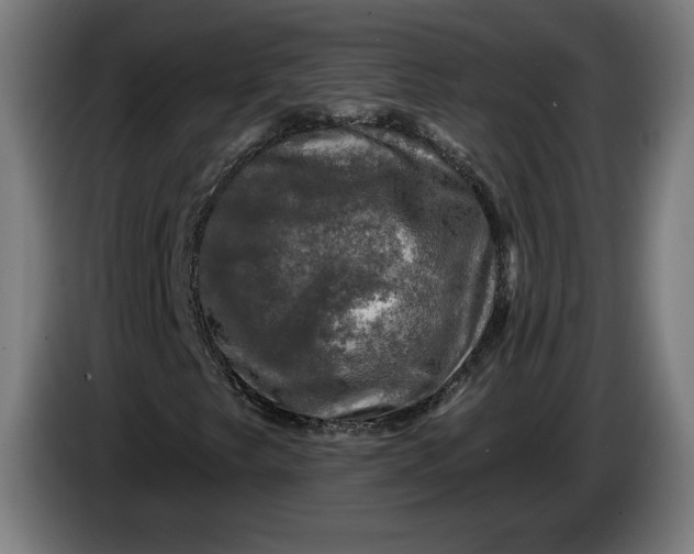 X0000085771249200703301355