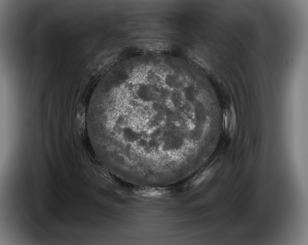 X0000085771251200703301355