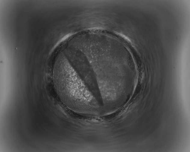 X0000085771255200703301355