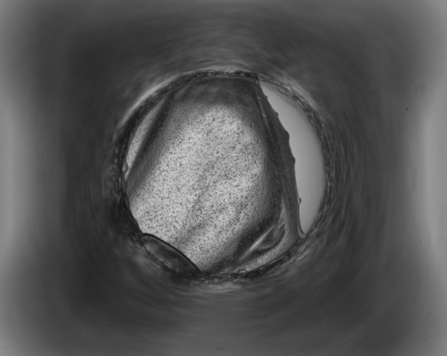 X0000085771256200703301355