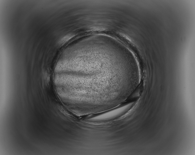 X0000085771257200703301355