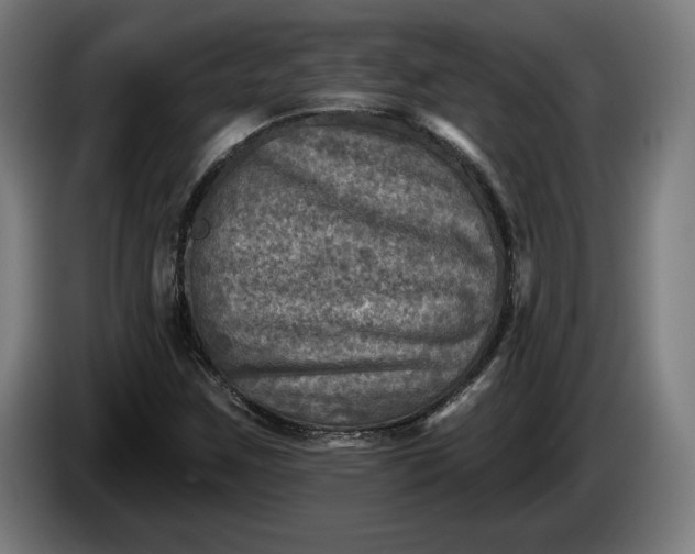 X0000085771259200703301355