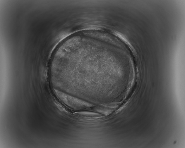 X0000085771260200703301355