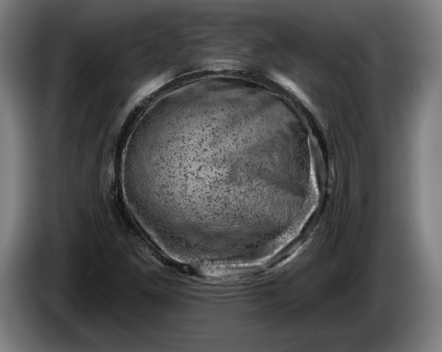 X0000085771261200703301355