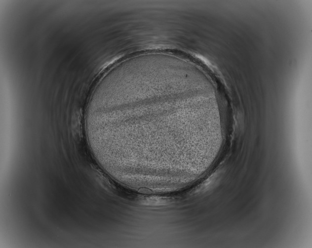 X0000085771265200703301354