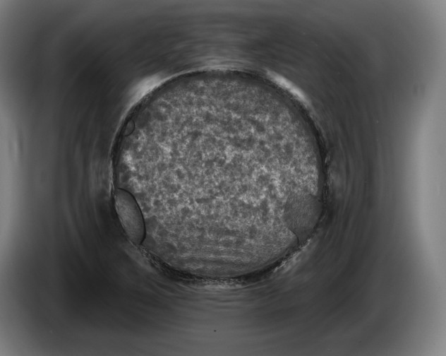 X0000085771267200703301354