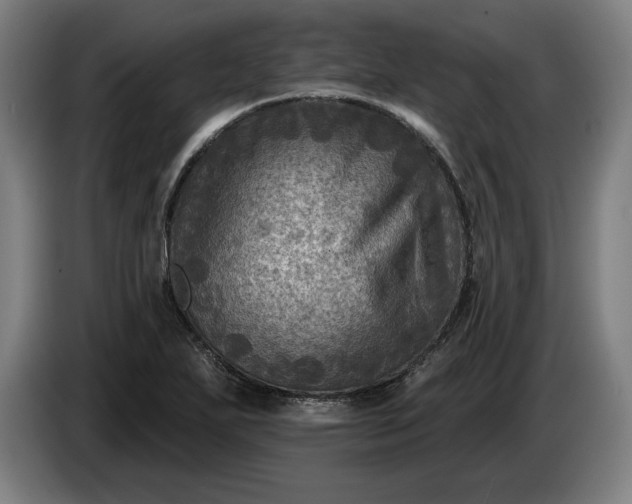 X0000085771271200703301354