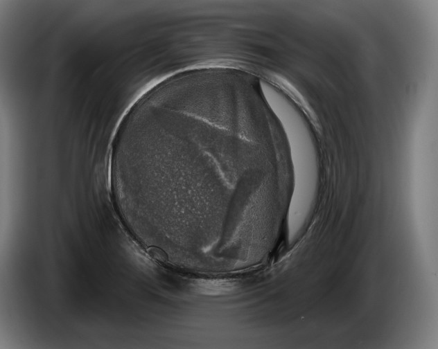 X0000085771276200703301354