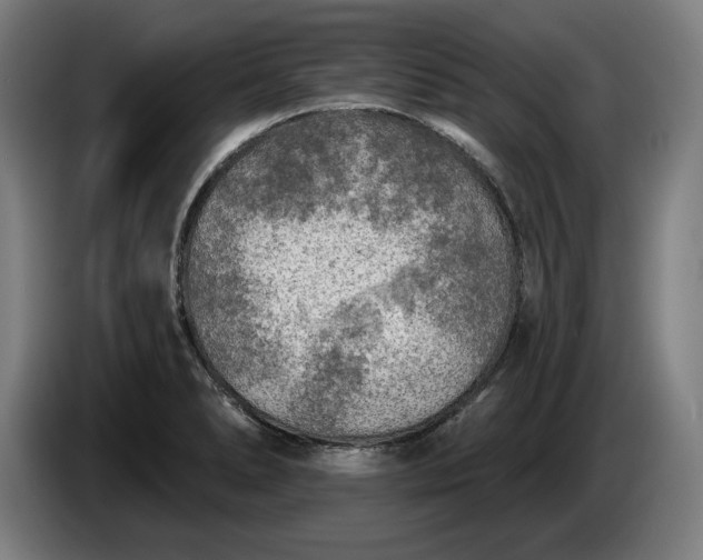 X0000085771278200703301354