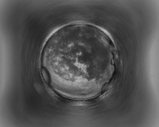 X0000085771279200703301354