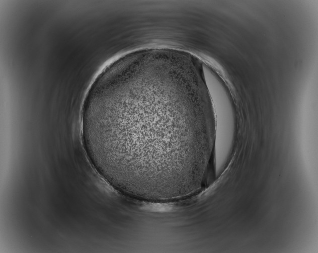 X0000085771280200703301354