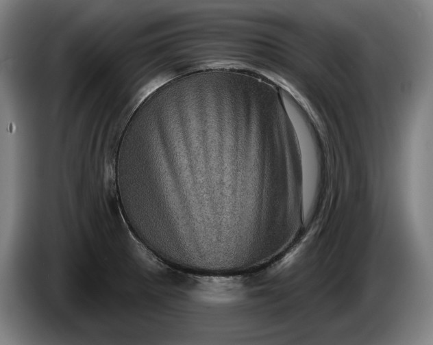 X0000085771281200703301354