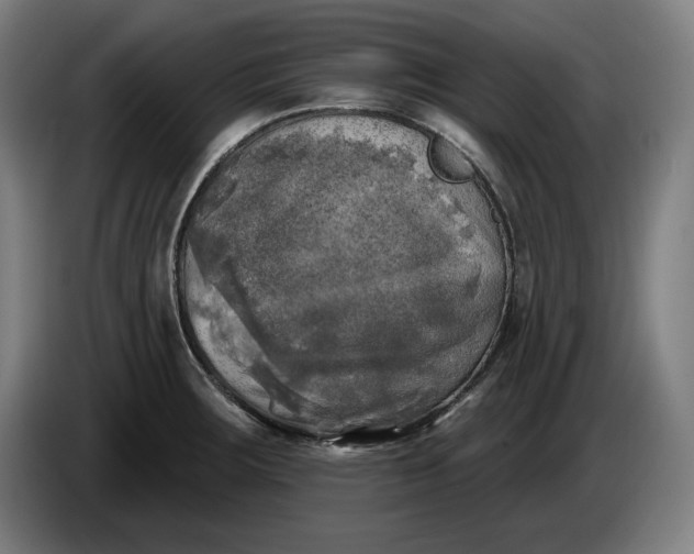 X0000085771283200703301354